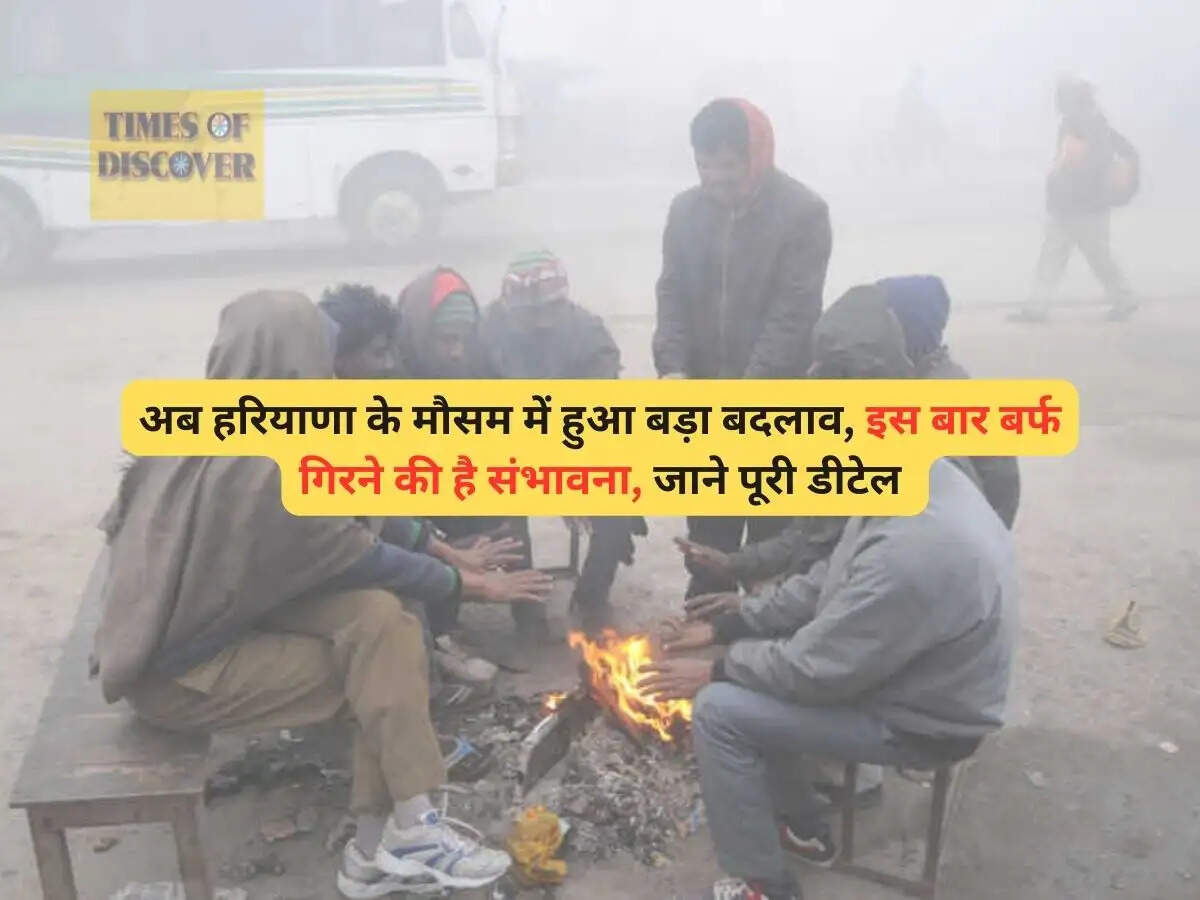haryana news