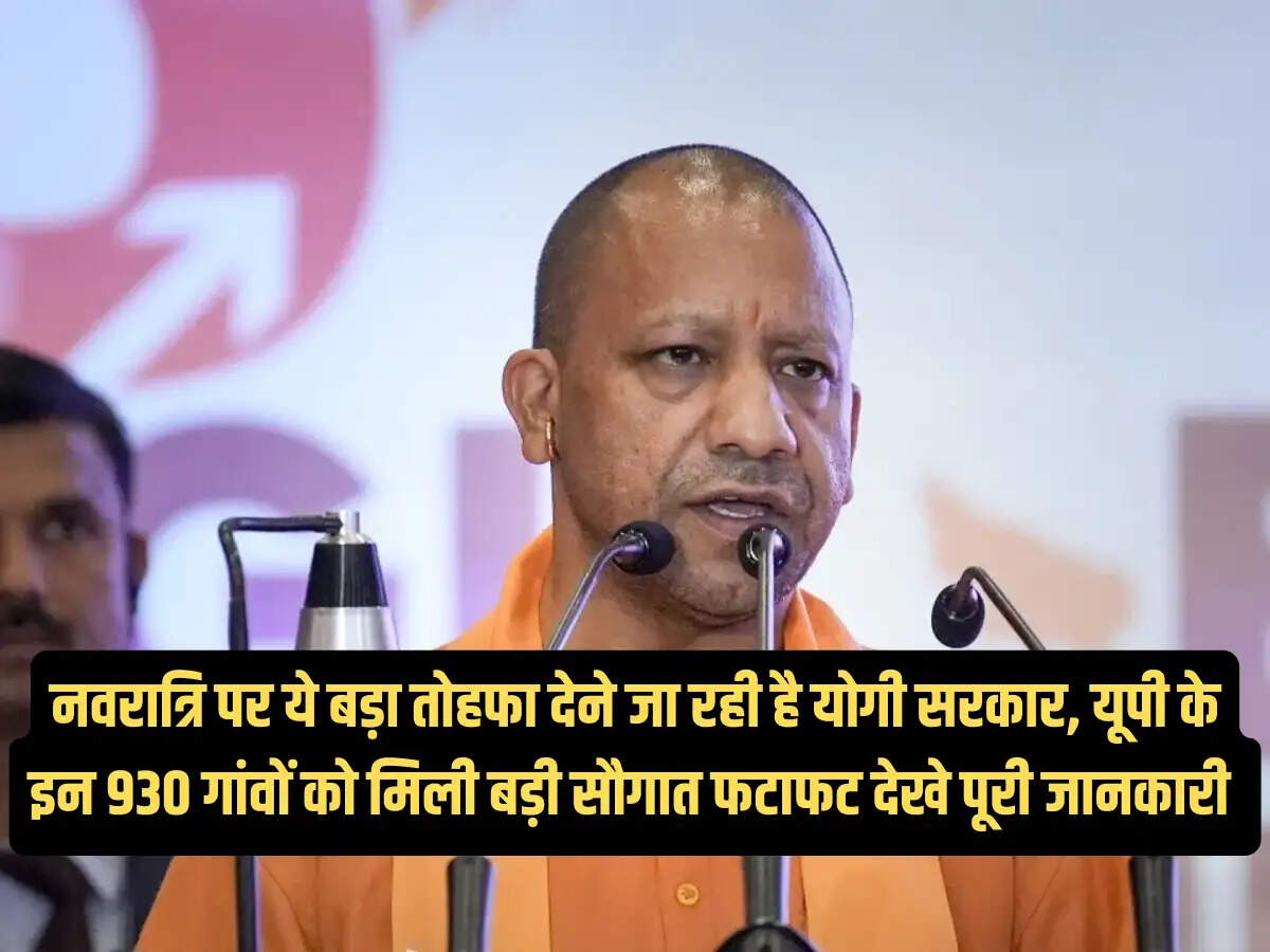 Yogi government