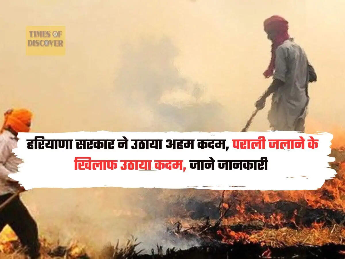 Haryana Pollution Update